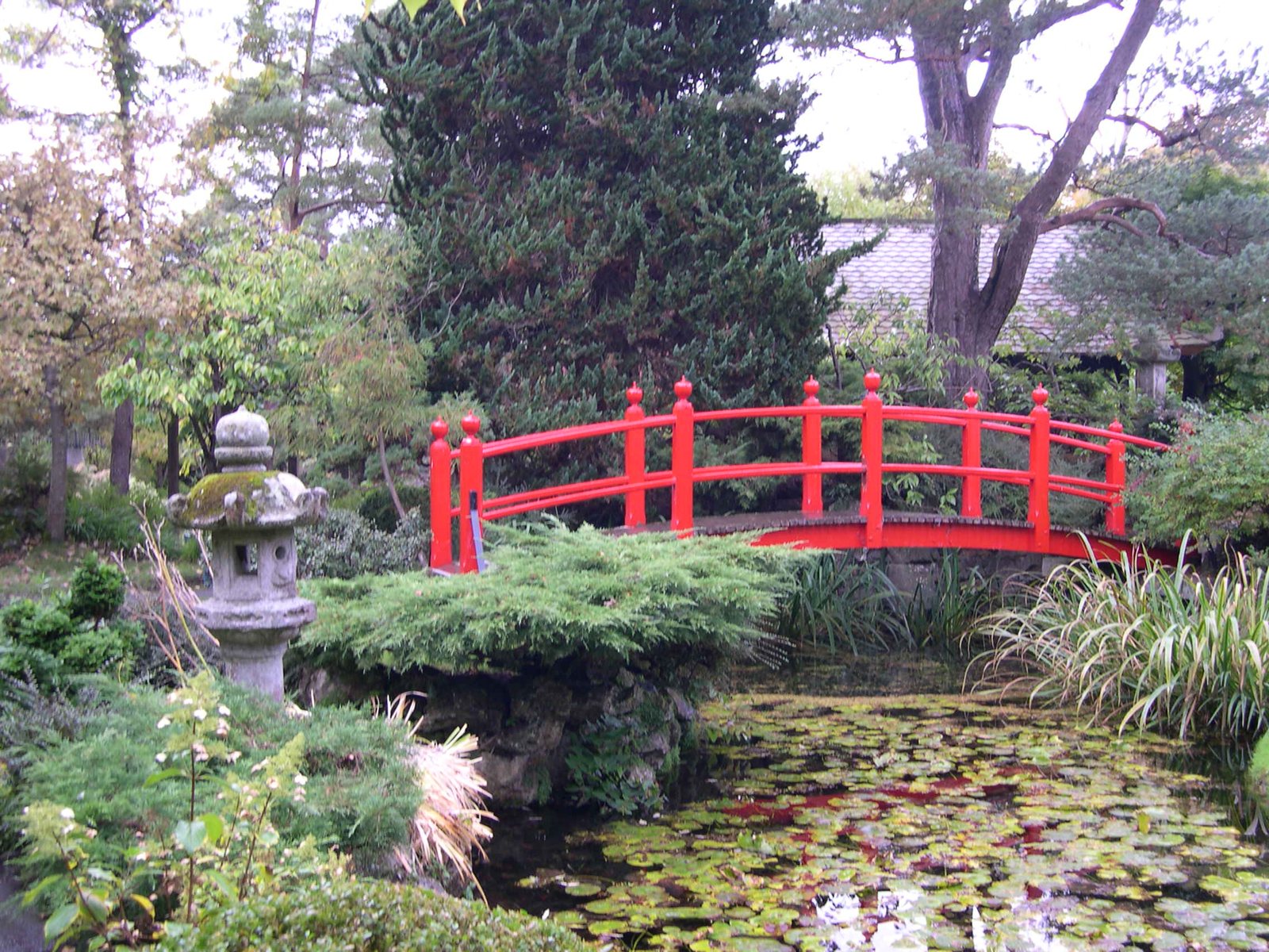 Bridge in the Japanese Gardens at the Irish National Stud, Kildare